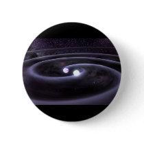 Binary White Dwarf Pins