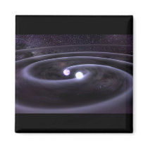 Binary White Dwarf magnets
