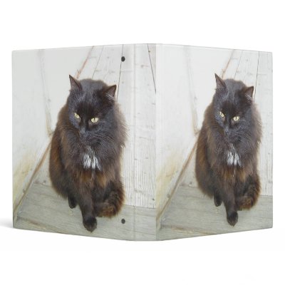 binder 1 fat cat black kitten by SexyGeekWithAttitude