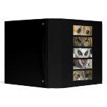 Binder - Animals Eyes