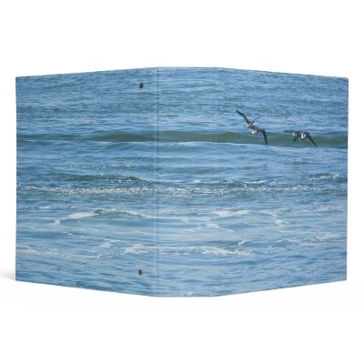 Binder Atlantic Brant Geese (Branta bernicla hrota by CarolsCamera