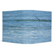 Binder Atlantic Brant Geese (Branta bernicla hrota