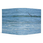 Binder Atlantic Brant Geese (Branta bernicla hrota