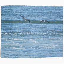 Binder Atlantic Brant Geese (Branta bernicla hrota