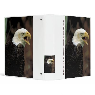 Binder / Bald Eagle Calling by moxieann