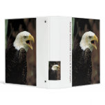 Binder / Bald Eagle Calling