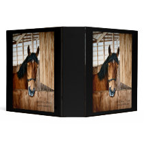 Binder, Bay horse looking out of stall