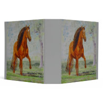 Binder, Bay Peruvian Gaiting