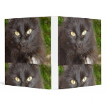 binder black cat love