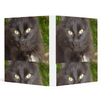 binder black cat love