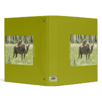 Binder / Camel in West Texas by moxieann Binder / Camel in West Texas