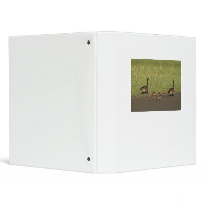 Binder / Canada Geese Family by moxieann