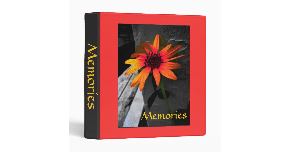 Binder Customize for any Subject Insert Name Zazzle
