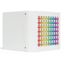 Binder - Cute Rainbow Owl Pattern