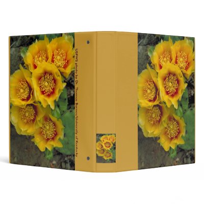 Binder / Eastern Prickly Pear Cactus in Bloom by moxieann