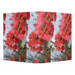binder gardenia flowers love
