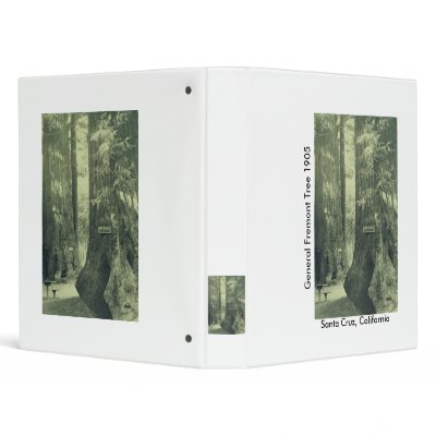 Binder / General Fremont Tree / Santa Cruz, CA by moxieann