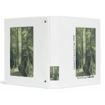 Binder / General Fremont Tree / Santa Cruz, CA