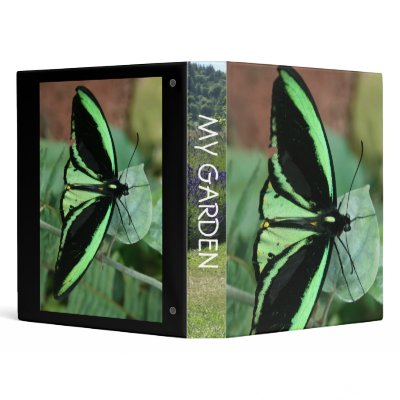 Binder: Green Butterfly by glstorrs