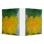 Binder green yellow pom poms