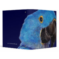 Binder - Hyacinth Macaw