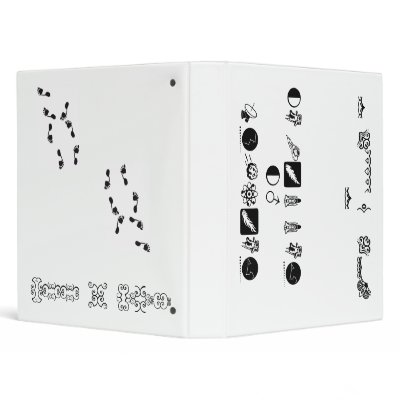 Binder of Stalker by asa238