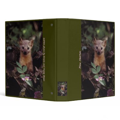 Binder / Pine Marten by moxieann