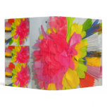 Binder Rainbow pom