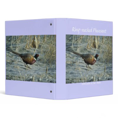 Binder /  Ring-necked Pheasant by moxieann