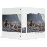 Binder / Steller Sea Lions on Buldir Island