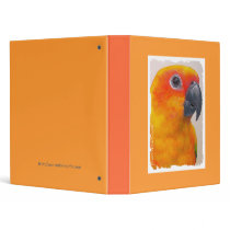 Binder - Sun Conure