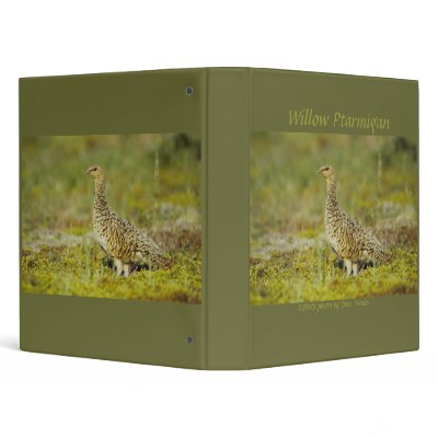 Binder / Willow Ptarmigan on Kodiak Island, Alaska by moxieann