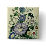 Bindweed, plate 26 from 'The Ladies Pins