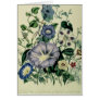 Bindweed, plate 26 from 'The Ladies Greeting Card