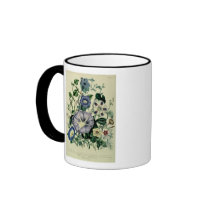 Bindweed, plate 26 from 'The Ladies Mug