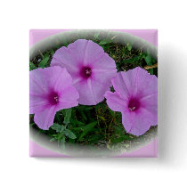 Bindweed Wildflower Series Buttons