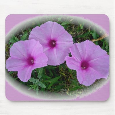 Bindweed Wildflower Series Mousepads by CarolsCamera