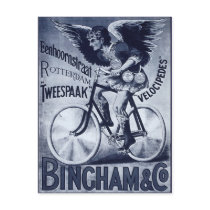 Bingham & Co. Velocipedes Postcard