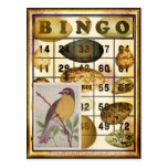 Bingo Bird Post Card