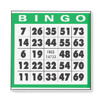 Bingo Card Magnet
