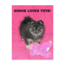 BINKIE LOVES TOYS! postcards
