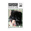 BINKIE postage by KABSANNIE BINKIE postage