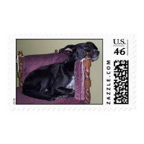 binks postage