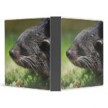 Binturong Bear Binder