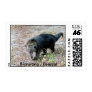 Binturong / Bearcat Stamp