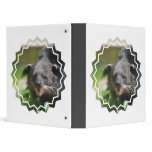 Binturong Binders
