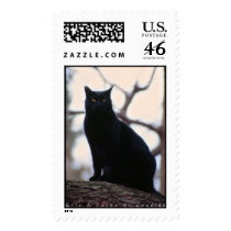 Binx postage