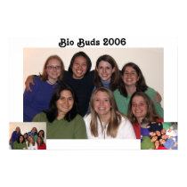 bio buds 2006 posters