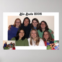 bio buds 2006 print