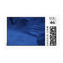 Bio Organthis Postage